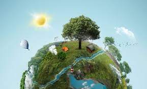 Eco Friendly